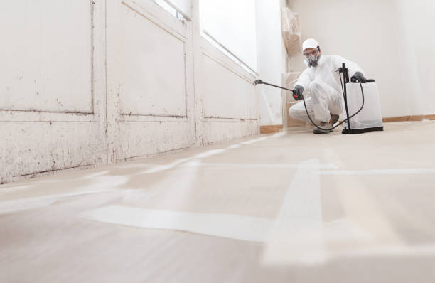 24/7 Emergency Attic Mold Remediation experts in Purcellville, VA