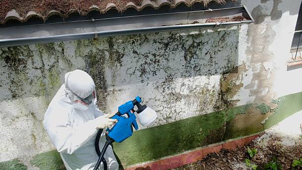 Top rated local Attic Mold Remediation specialists in Purcellville, VA